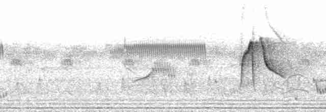 Тиранчик-короткодзьоб південний - ML213080