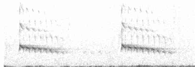 White-throated Kingfisher - ML213149821