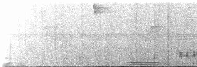 holub šedohlavý - ML213167101