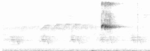 Kısa Kuyruklu Küçük Tiran - ML213201541