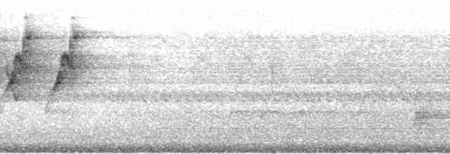 Reinita Protonotaria - ML213206