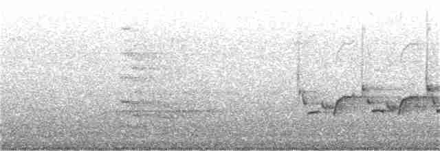 Каролинский крапивник - ML213222041