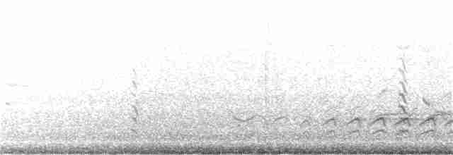 Weißbrustkleiber - ML213222541