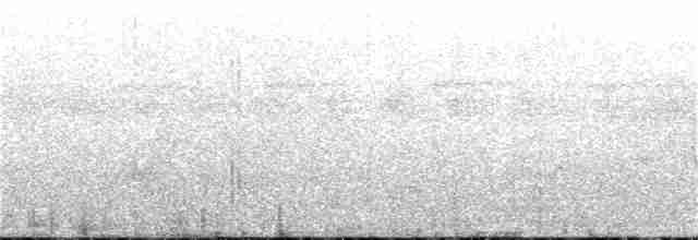 Spot-winged Starling - ML213231281