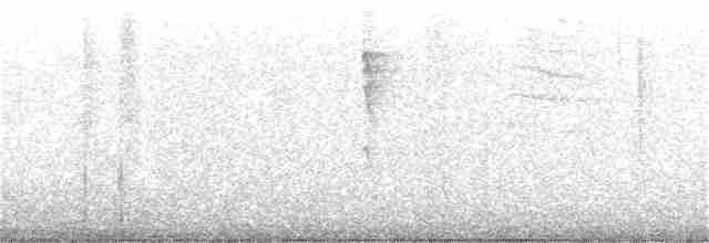 Малая вильсония - ML213254341
