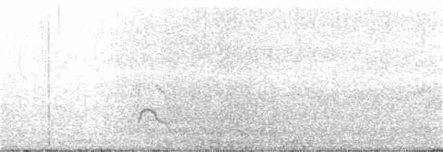 Eurasian Wigeon - ML213299531