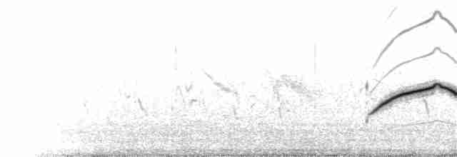 Жайворонок криводзьобий (підвид brevirostris) - ML213369001