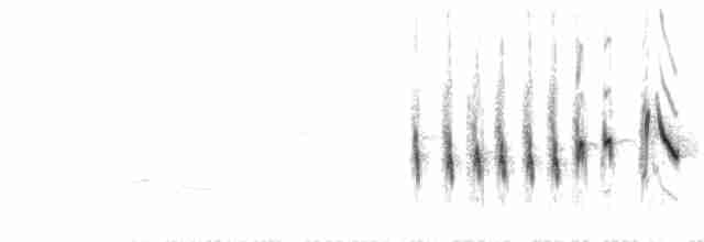 Карруский жаворонок - ML213408571
