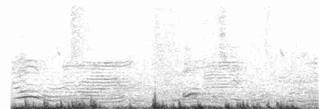 Длиннохвостый крапивник - ML213449491