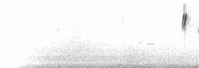 Оранжевобрюхая нектарница - ML213452921