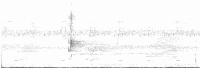 Kadife Sırtlı Drongo (coracinus) - ML213554211