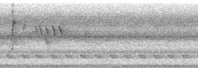 Краснохвостая нектарница - ML213563