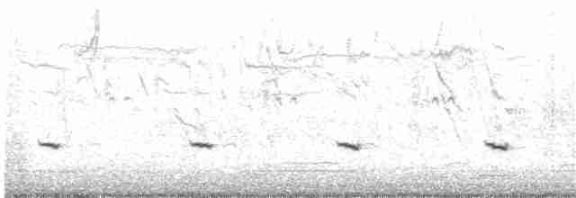 Benekli Notura Tinamusu - ML213568381