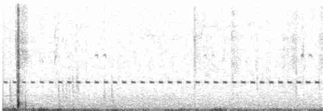 Benekli Notura Tinamusu - ML213568391