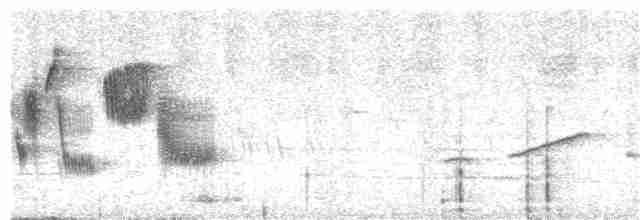 Зерноїд мальований - ML213569231