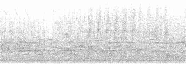 Troglodyte des marais - ML213577061