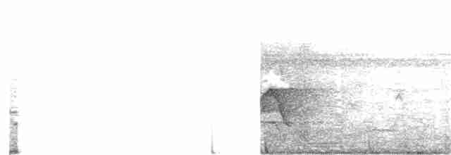 Mangrov Pittası - ML213605891