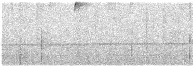 Серогрудый дромник - ML213630061