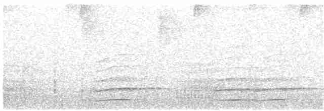 Plate-billed Mountain-Toucan - ML213630171