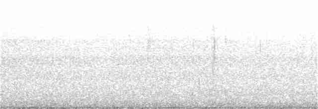 Troglodyte de Baird - ML213688111