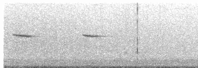 Plumbeous Redstart - ML213693101