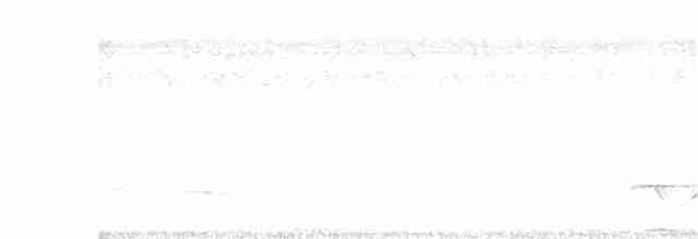 Great Eared-Nightjar - ML213711671