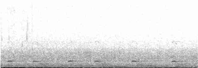 Пестроклювая поганка - ML213716631