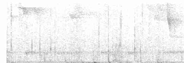 holub parukový - ML213745301