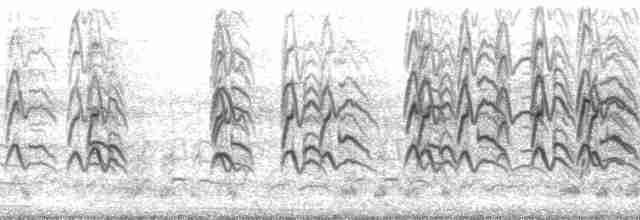 Красноклювая древесная утка (fulgens) - ML213761