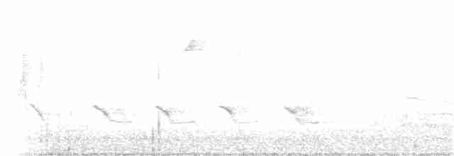 vlhovec červenokřídlý [skupina phoeniceus] - ML213792331