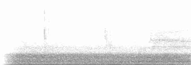 Haarspecht [villosus-Gruppe] - ML213793011