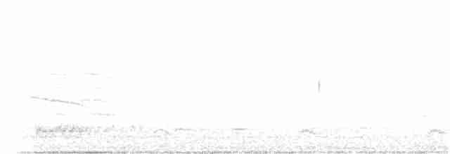 vlhovec červenokřídlý [skupina phoeniceus] - ML213793021