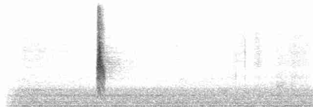 vlhovec červenokřídlý [skupina phoeniceus] - ML213793441