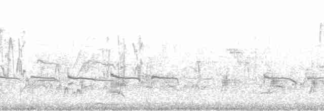 Kara Tepeli Baştankara - ML213798