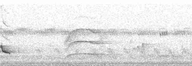 Белокрылый бекард - ML213874