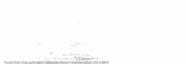 Montezuma Oropendulası - ML214096441