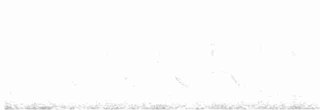 Ak Kaşlı Arapbülbülü - ML214101071