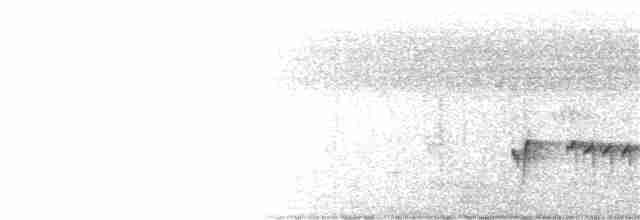 Luzonschneidervogel - ML214143661