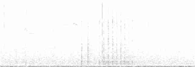 Great Spotted Woodpecker - ML214152271