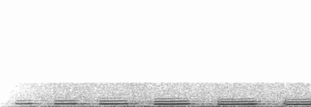 gråvingetrompetfugl (crepitans) - ML214237051