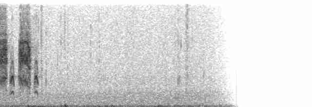 Klariyon Çıtkuşu - ML214355