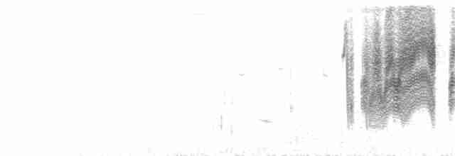 アフリカツリスガラ（caroli グループ） - ML214393541