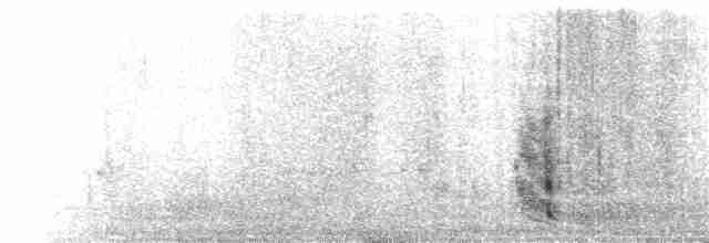 חרטומית אפריקנית - ML214405201