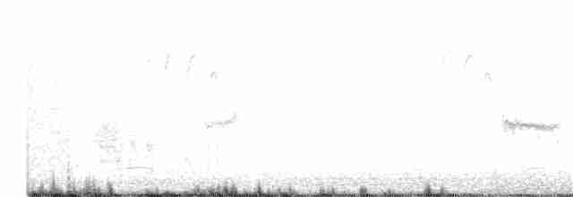 Северный сорокопут - ML214413791
