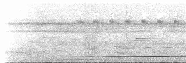 White-throated Tinamou - ML214415481