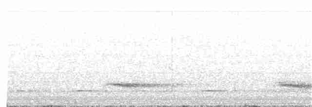 Channel-billed Toucan - ML214415631