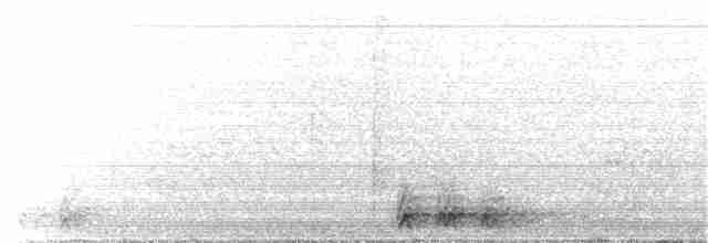 Black-tailed Trogon - ML214415731