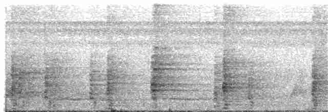 Kara Kanatlı Borazankuşu (obscura) - ML214419481