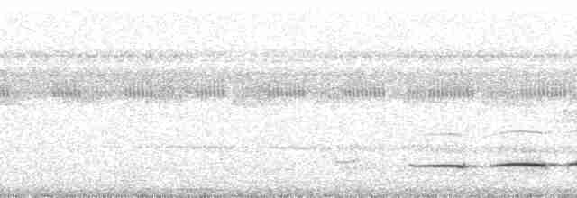 Gözlüklü Yerçavuşu (lizanoi) - ML214423