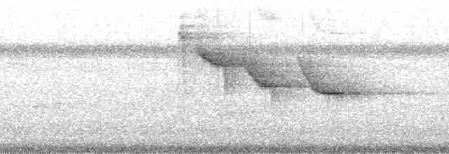 White-throated Shrike-Tanager - ML214429